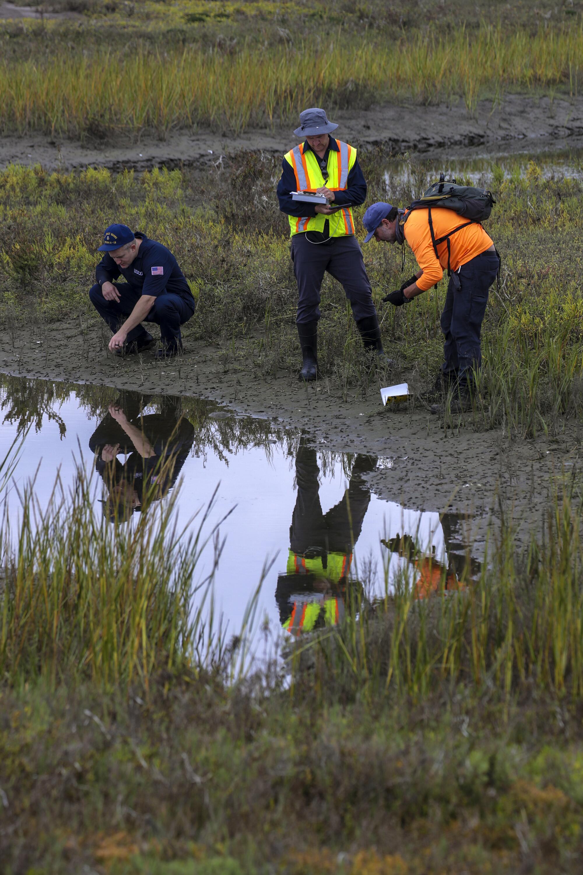 Three workers assess the oil spill damage in Talbert Marsh.