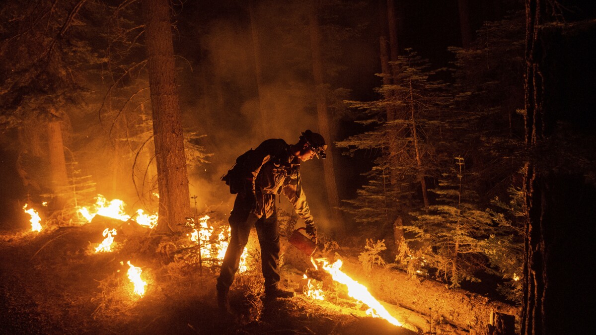 Lightning Sparked Wildfires Stress California Resources Los Angeles Times California Forest Fires Map 2022