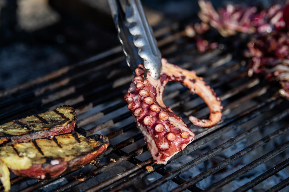 Octopus tentacle on the grill