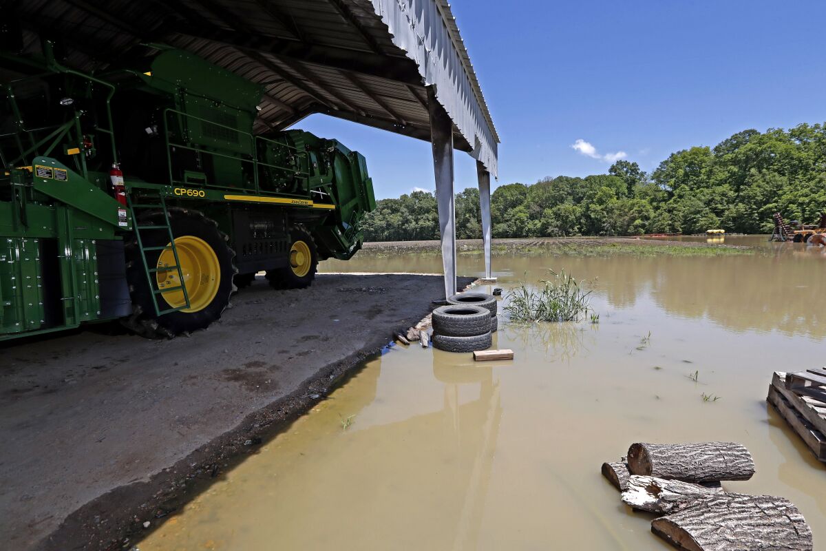 FILE - In this May 23, 2019 photo, a cotton picking tractor of Grosvenor Farms sits marooned in its Holly Bluff, Miss., shed, as backwater surround it and the fields surrounding it. The Army Corps of Engineers says it is canceling its approval of a huge flood control plan in Mississippi because the Environmental Protection Agency has done so. The statement was made in a document filed Wednesday, Dec. 15, 2021 with the federal court in Washington, where environmental groups had sued the Corps over the Yazoo Pumps Project. (AP Photo/Rogelio V. Solis, file)