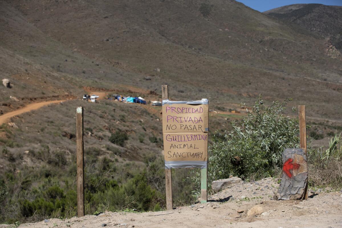 El Santuario Guillermina fue arrasado inesperadamente 