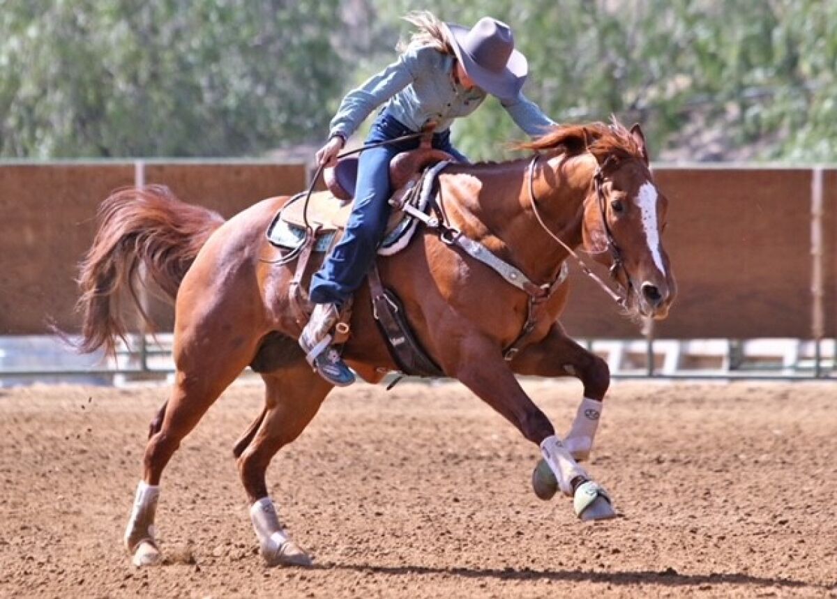 As a barrel racer, my horses are my best friends and No. 1 assets - The ...
