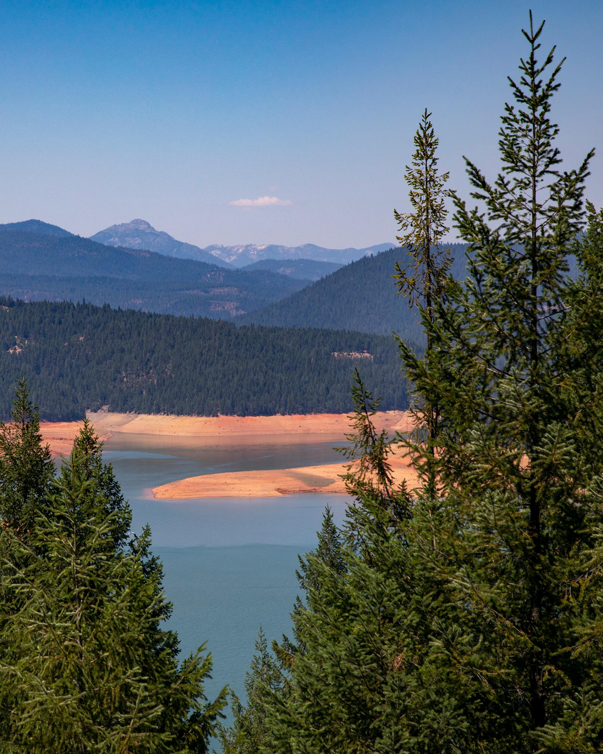 Trinity Lake can be seen through a treeline. 