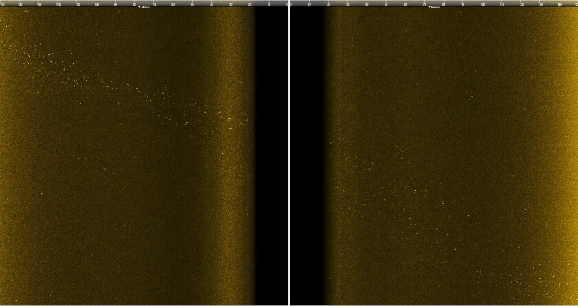 Vedere a datelor sonare scanate lateral de la expediția Scripps-NOAA din martie 2021