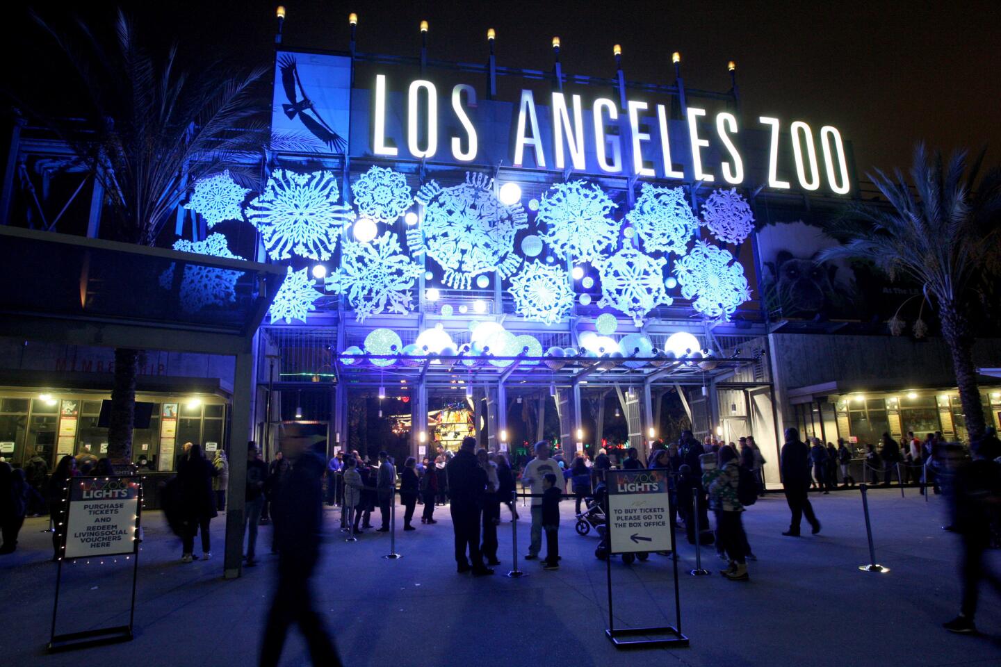 Photo Gallery: L.A. Zoo Lights