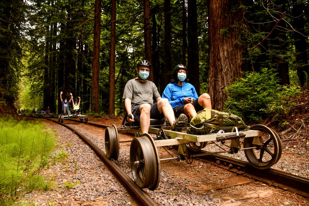 A man and woman pedal a four-wheeled recumbent-style bike through a redwood forest.