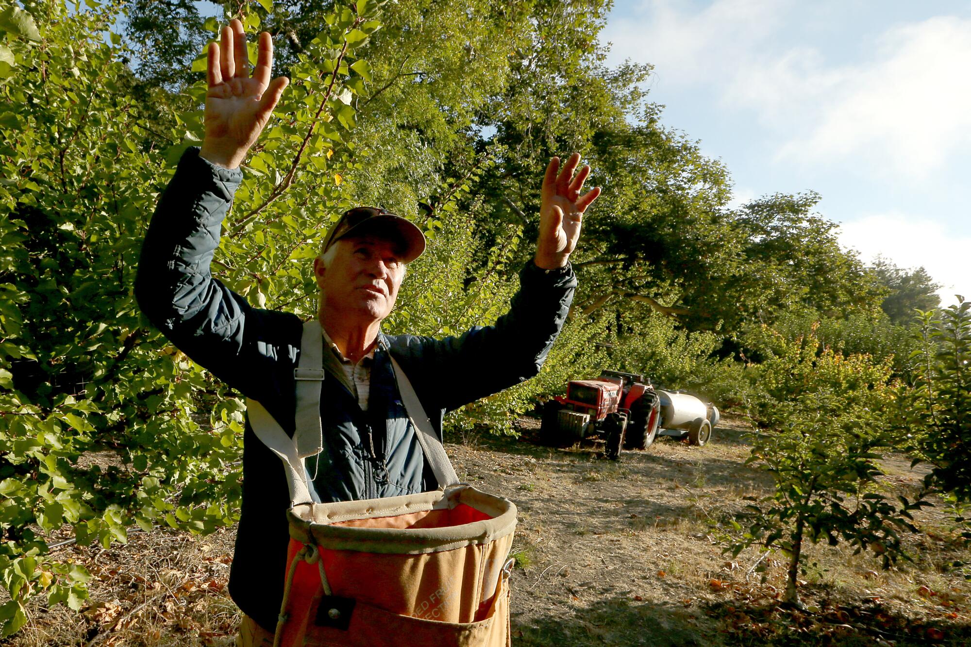 Farmer Mike Cirone gestures toward trees in his orchard. 