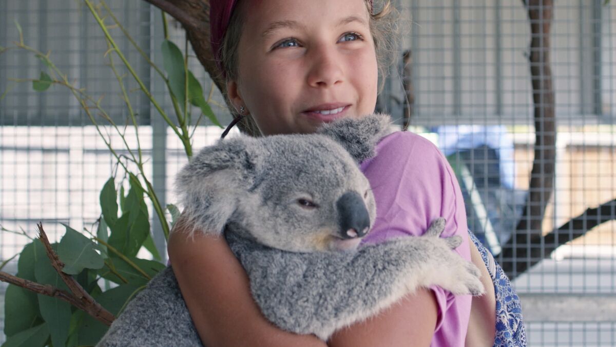 New Netflix series features an 11-year-old 'koala whisperer' - The San  Diego Union-Tribune