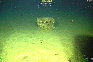 World War-II era munitions littered across the seafloor off the coast of Los Angeles