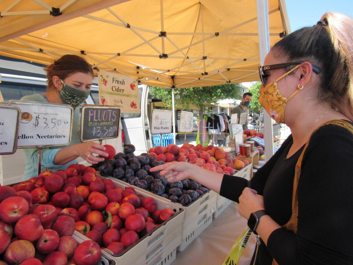 Sasha Noroozi of La Mesa shows Rachel Petitt of Smit Farms the fruit at the La Mesa Farmers' Market in June 2020.