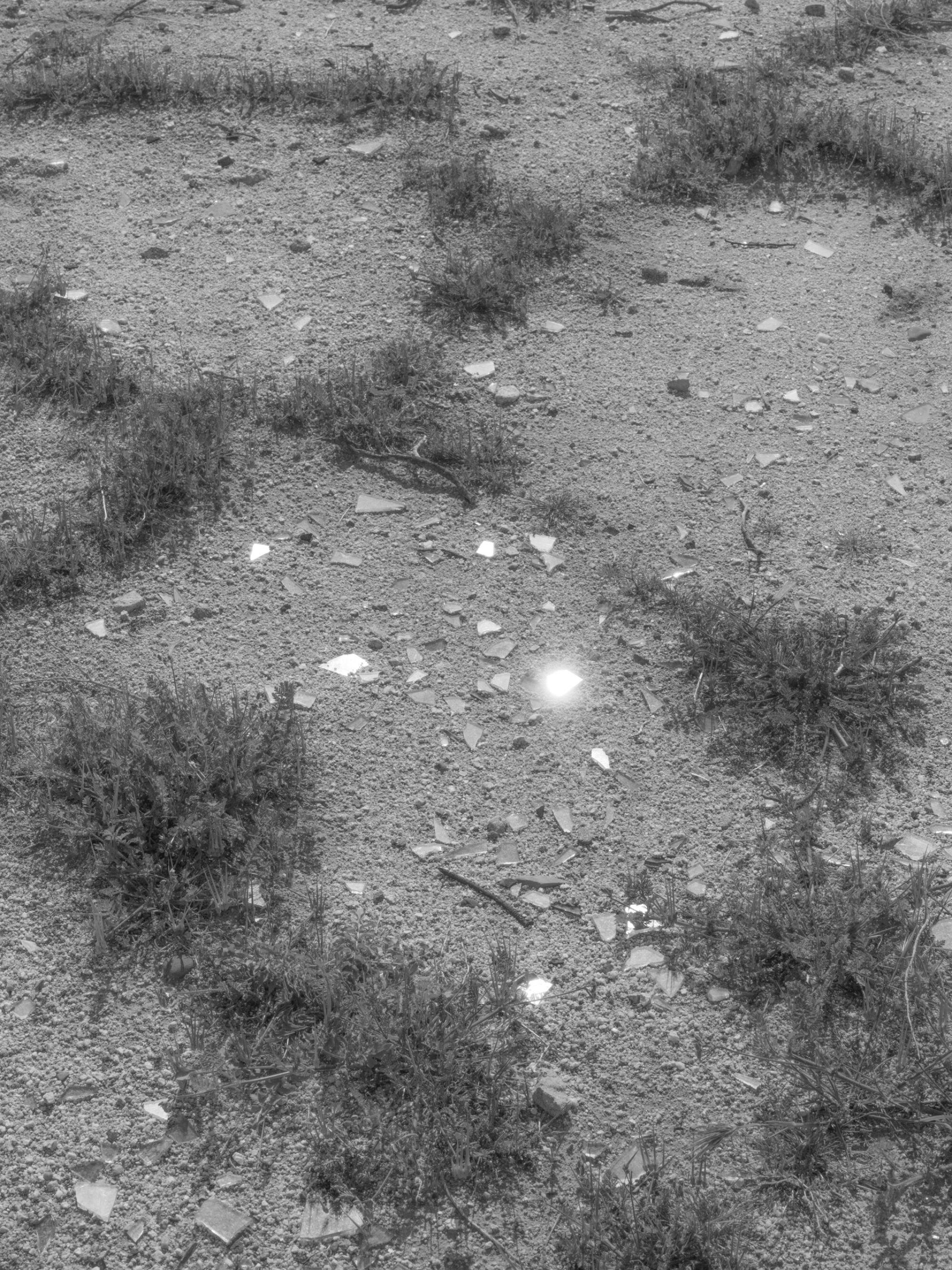 An image of the desert floor, shards of glass reflecting the light.