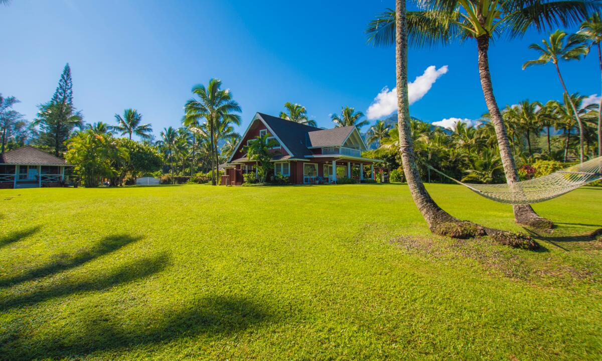A house with a big lawn and palm trees