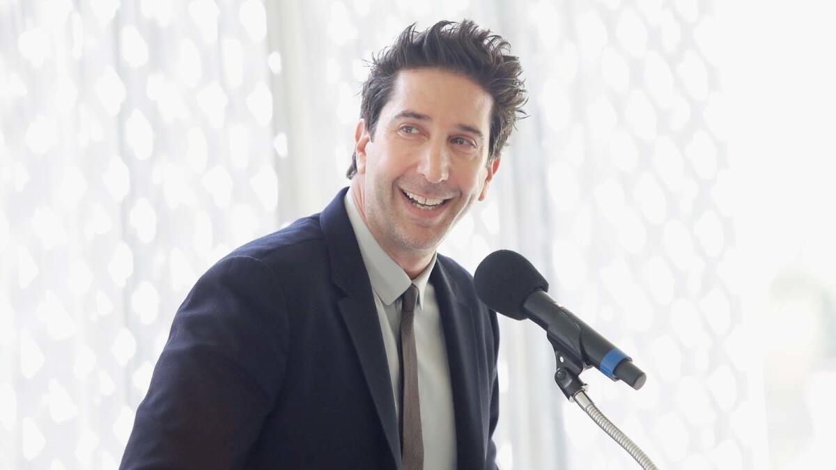 "Friends" star David Schwimmer.