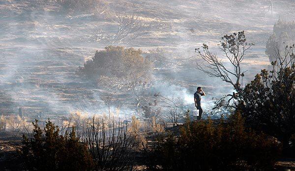 Scorched hillside