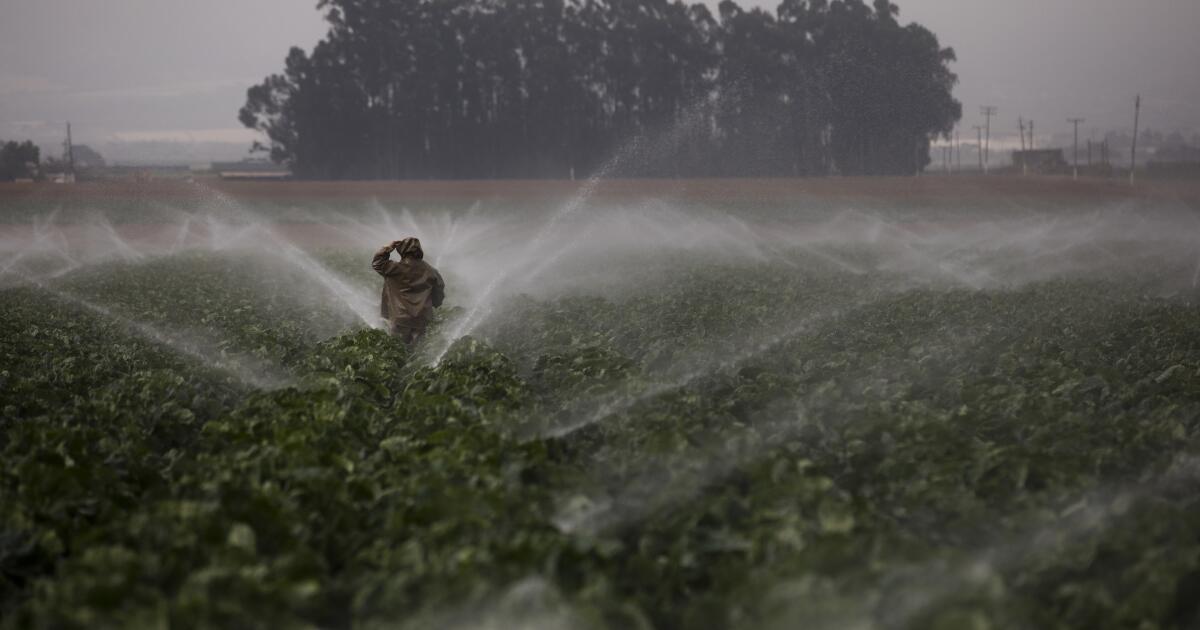 EPA strikes quick to cease use of weed killer that endangers fetuses