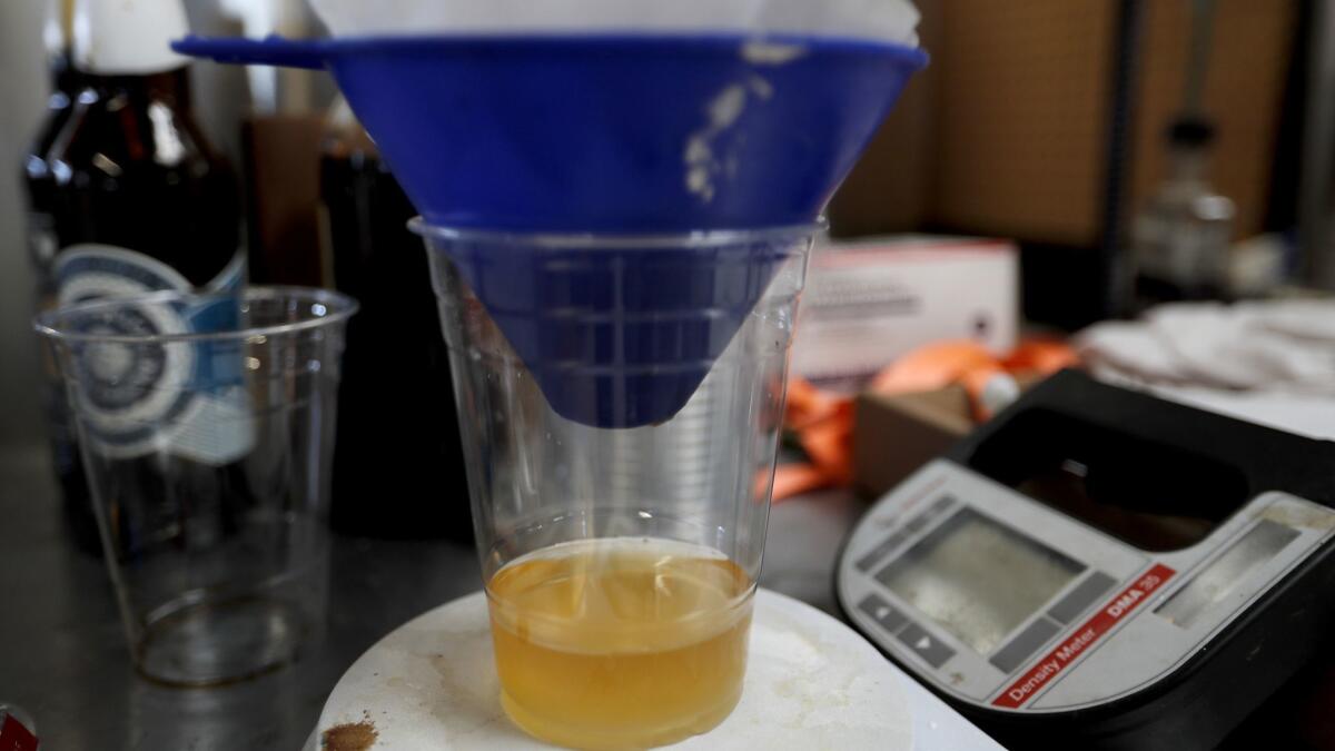 Beer is filtered before being tested for alcohol content at Three Chiefs Brewing.