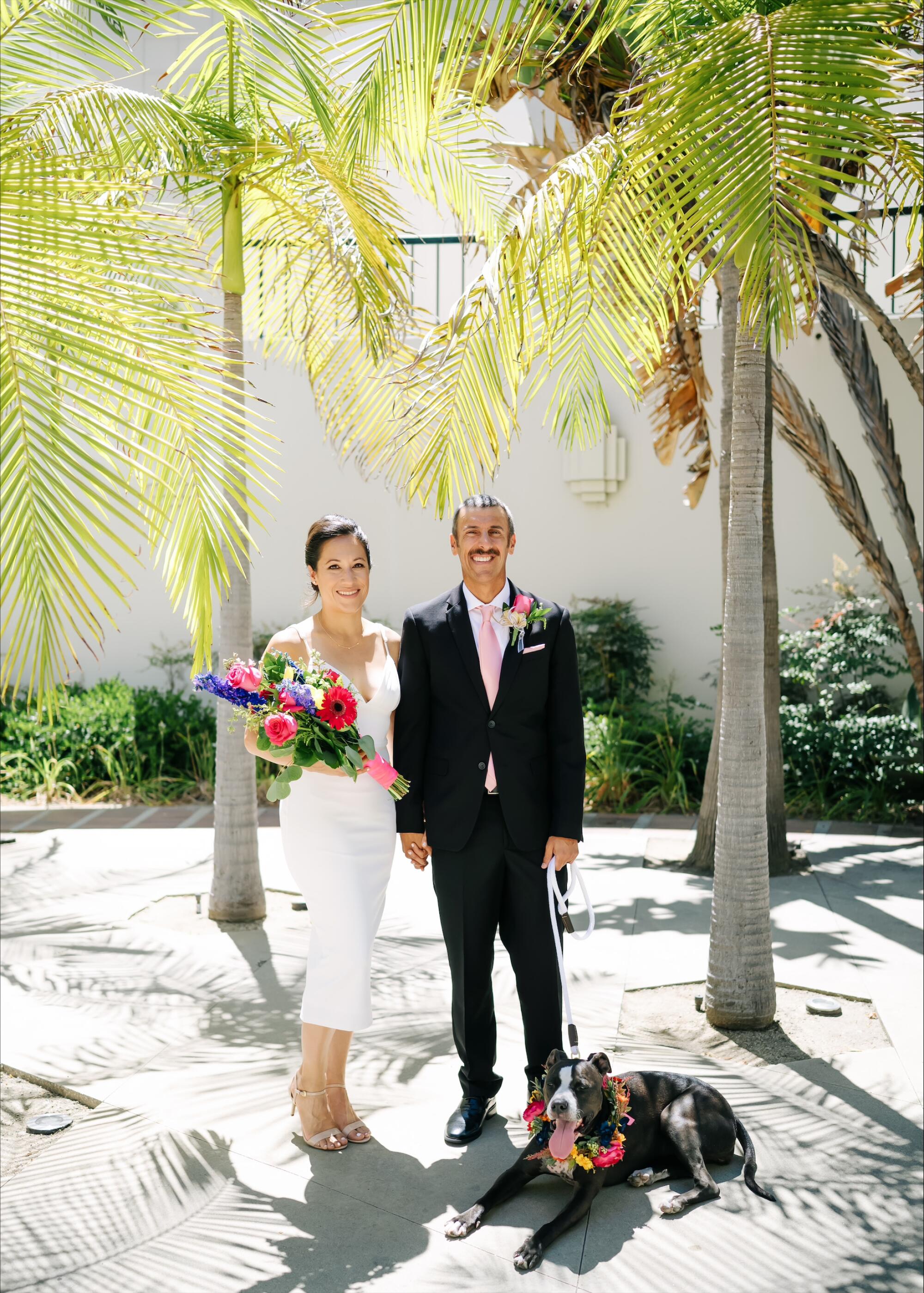 A bride and groom stand outdoors among palm trees, a dog at his feet