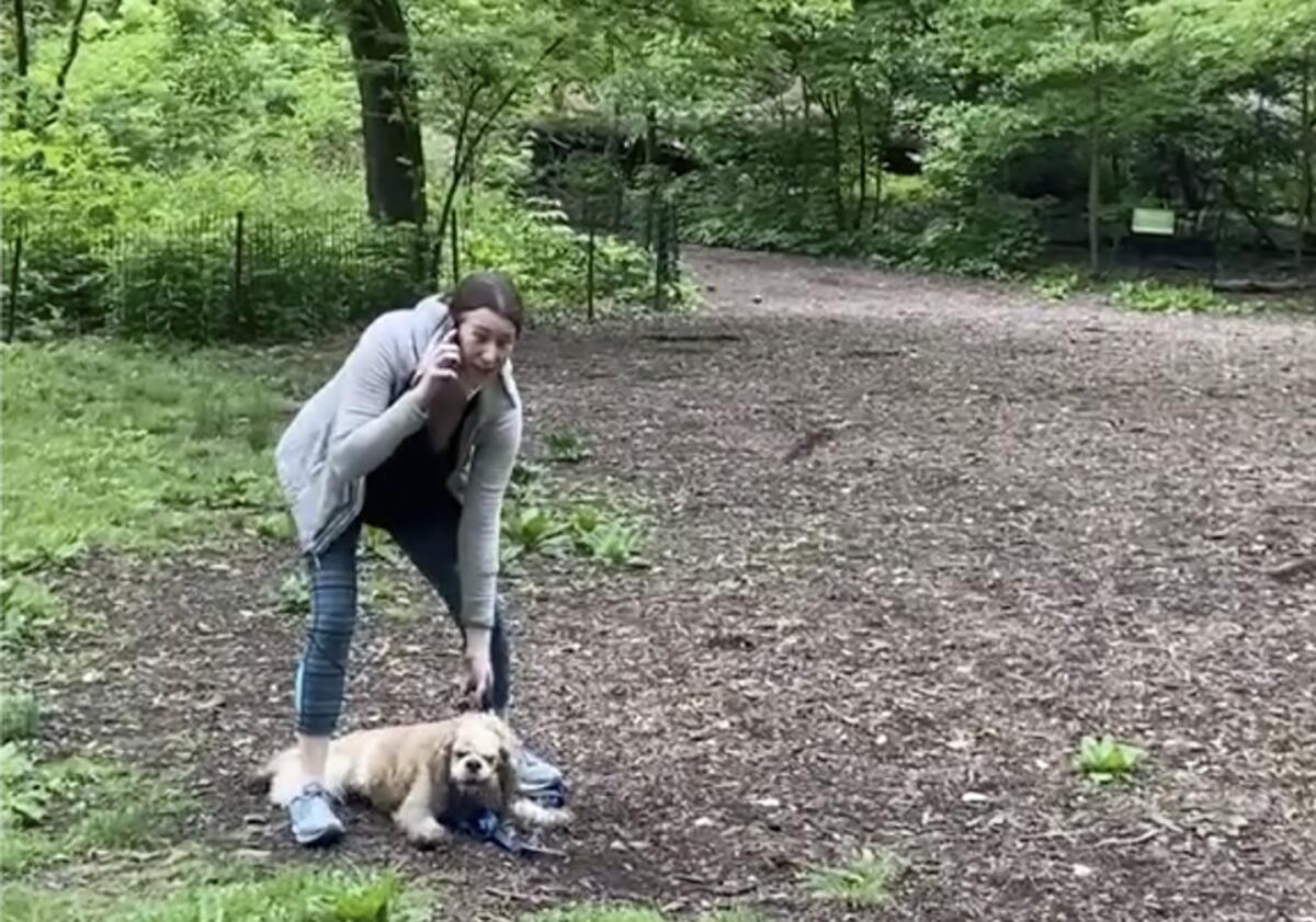 Amy Cooper with her dog calling police at Central Park in New York