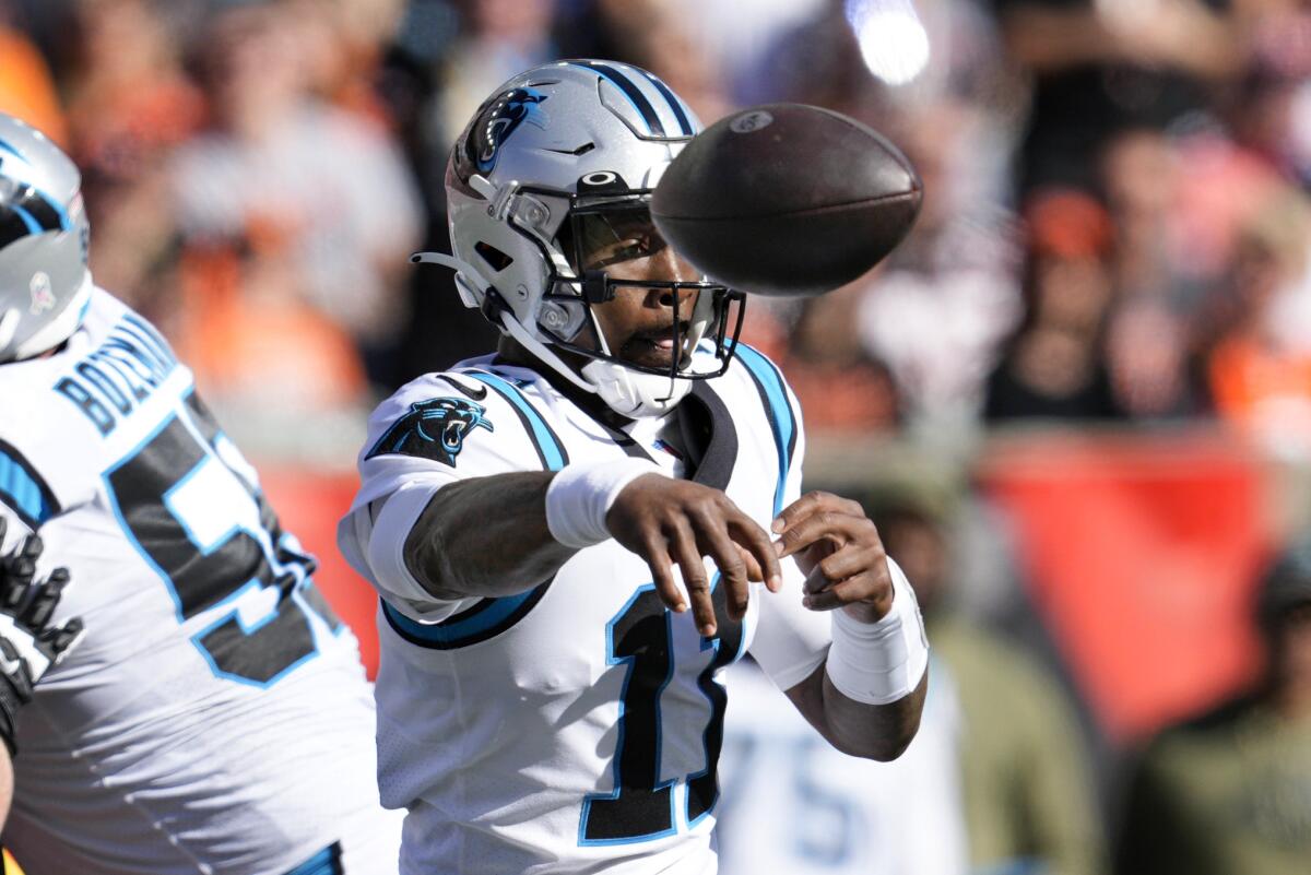 Panthers ponder QB situation after rout by Bengals - The San Diego  Union-Tribune