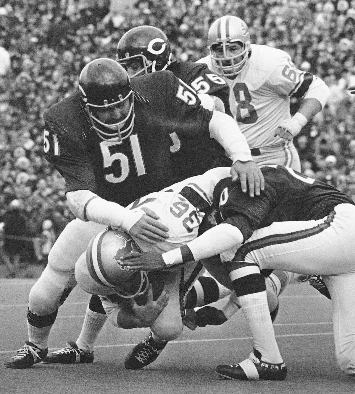 Chicago Bears linebacker Dick Butkus helps tackle Detroit Lions running back Steve Owens.