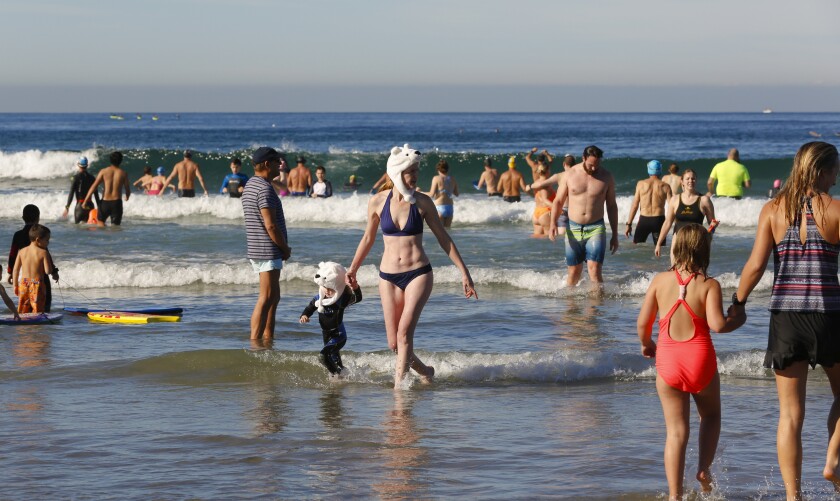frakobling generelt sådan Polar bear plunge draws hundreds to La Jolla Shores on New Year's Day - The  San Diego Union-Tribune