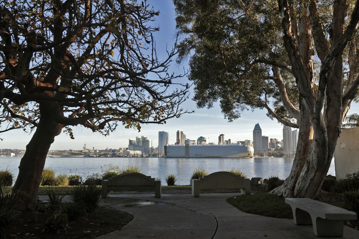A view of downtown San Diego from Coronado Island's Bay View Park on Jan. 19.