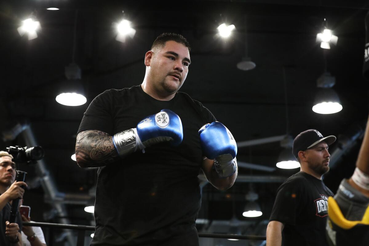 Imperial's Andy Ruiz, the heavyweight boxing champion of the world, gets ready to work out on Saturday at The Boxing Club, in East Village. He defends his world title in December in Saudi Arabia against Anthony Joshua.