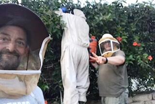 Encinitas Bee Co. owner James McDonald, far left, and Encinitas Mayor Tony Kranz, left, pause during a bee project.