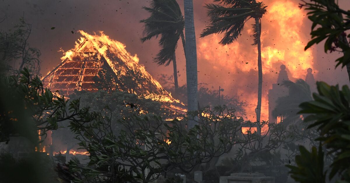 Öncesi ve sonrası görüntüleri Maui orman yangını yıkımını gösteriyor.  ‘Silindi’