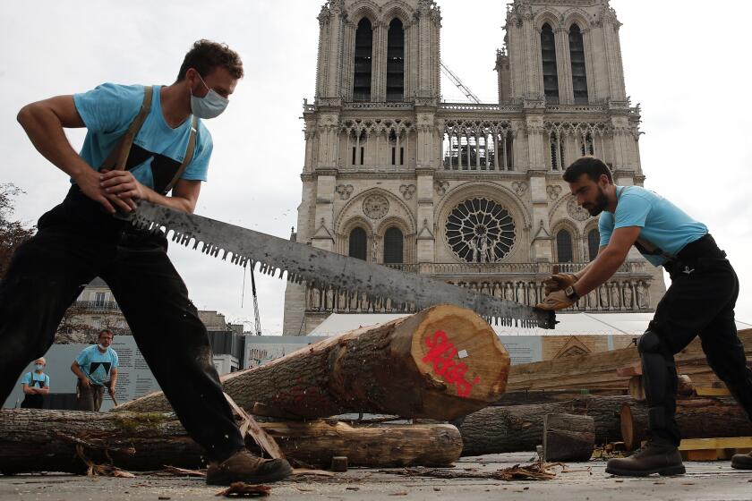 Carpenters put the skills of their Medieval colleagues on show on the plaza in front of Notre Dame Cathedral in Paris, France, Saturday, Sept. 19, 2020, the day honoring European heritage, by reproducing for the public a section of the elaborate carpentry used when the edifice was built. The elaborate wooden beams went up in flames in a devastating April 2019 fire that also toppled the spire of the cathedral, now being renovated. (AP Photo/Francois Mori)