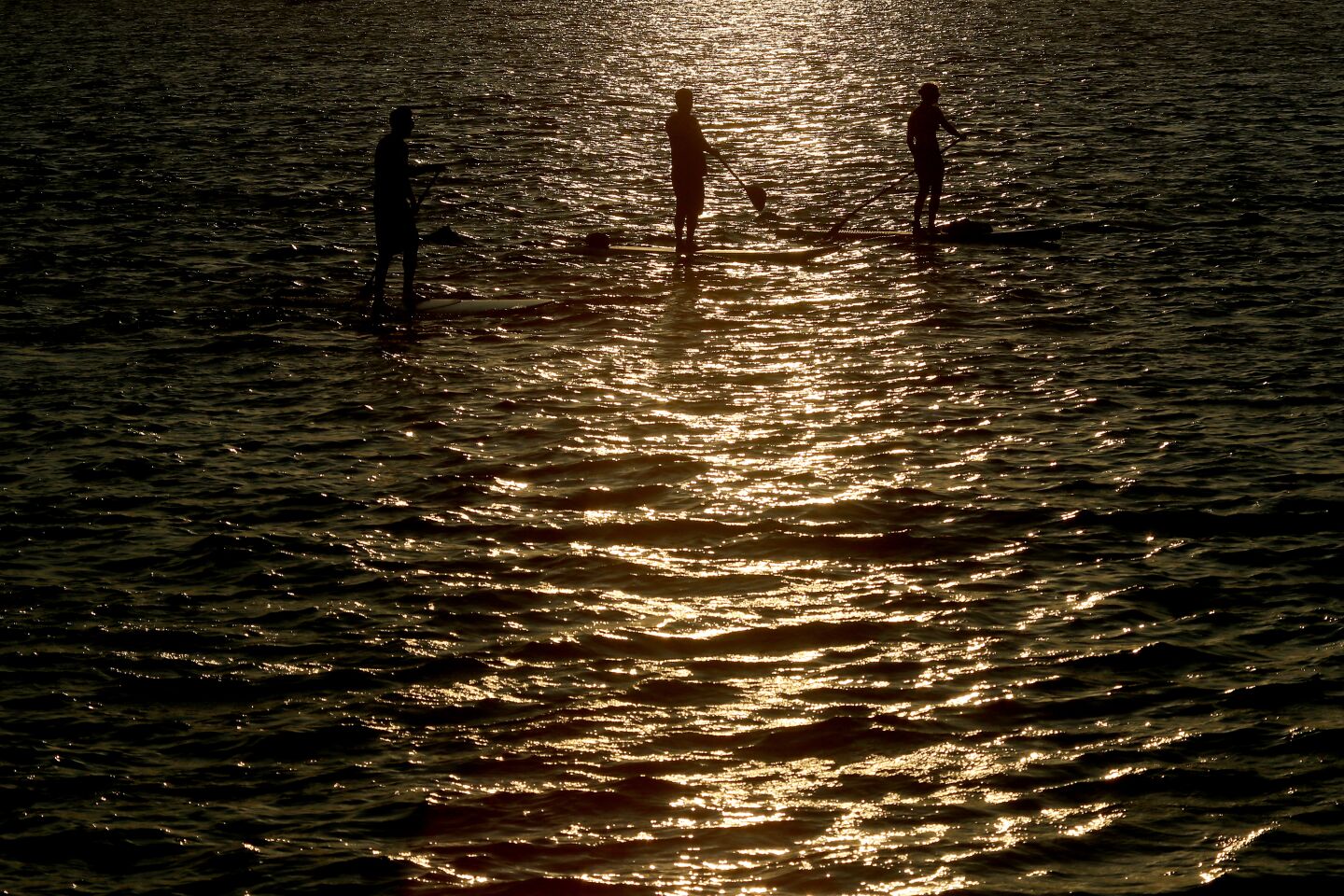 Paddle boarders navigate Alamitos Bay in Long Beach.