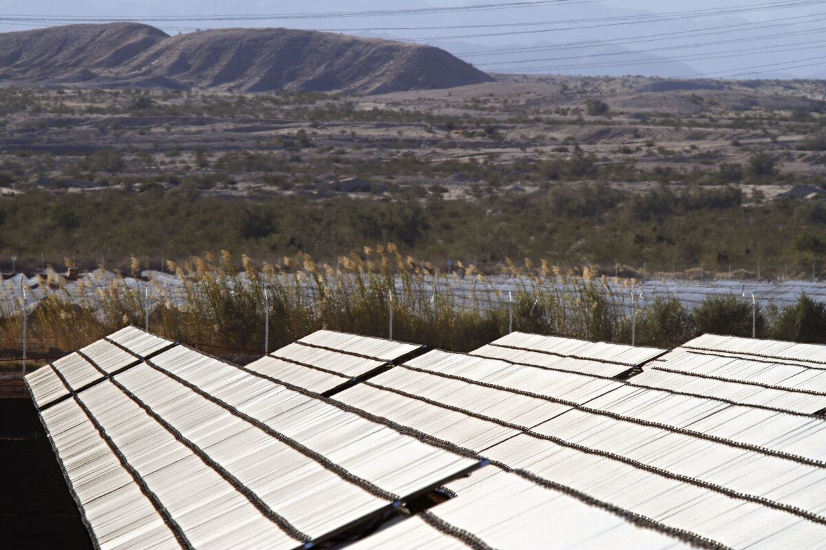 Rows of solar panels on desert farmland in the Imperial Valley west of El Centro, Calif.