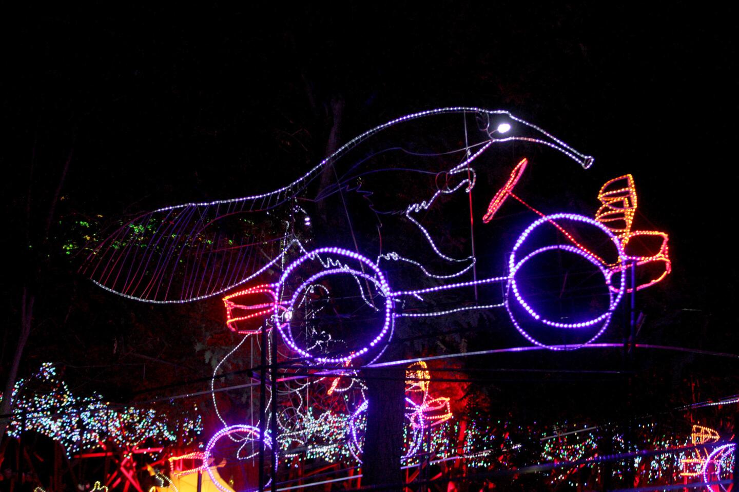 Photo Gallery: L.A. Zoo Lights