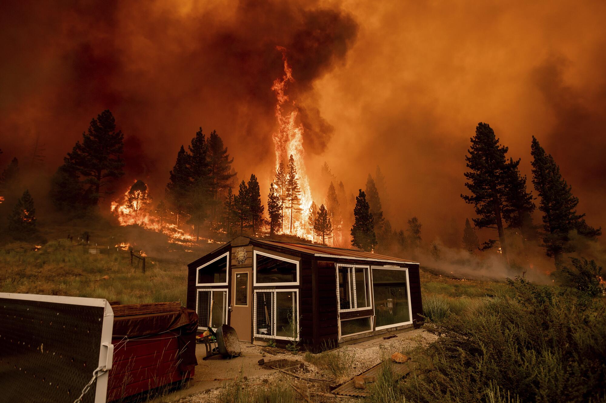 The Tamarack fire burns behind a greenhouse in the community of Markleeville in Alpine County.