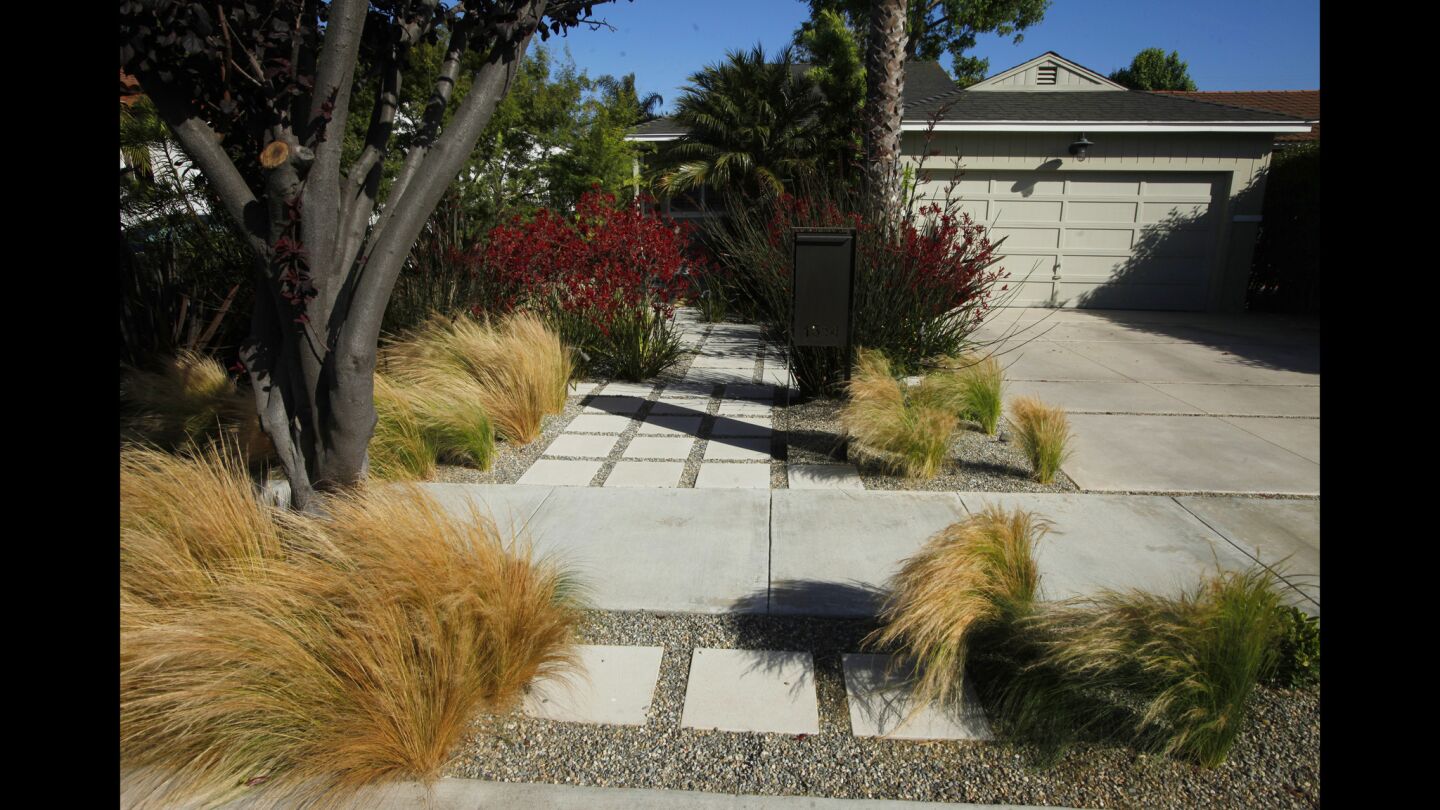 Tall kangaroo paws act as a screen and provide privacy from the street in what was formerly a lawn. Landscape designer Naomi Sanders created flow between the driveway and house by installing pavers and gravel, which offer a path to a central seating area.