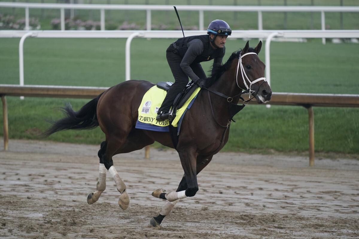 Kentucky Derby entrant Tawny Port works out at Churchill Downs on Friday.