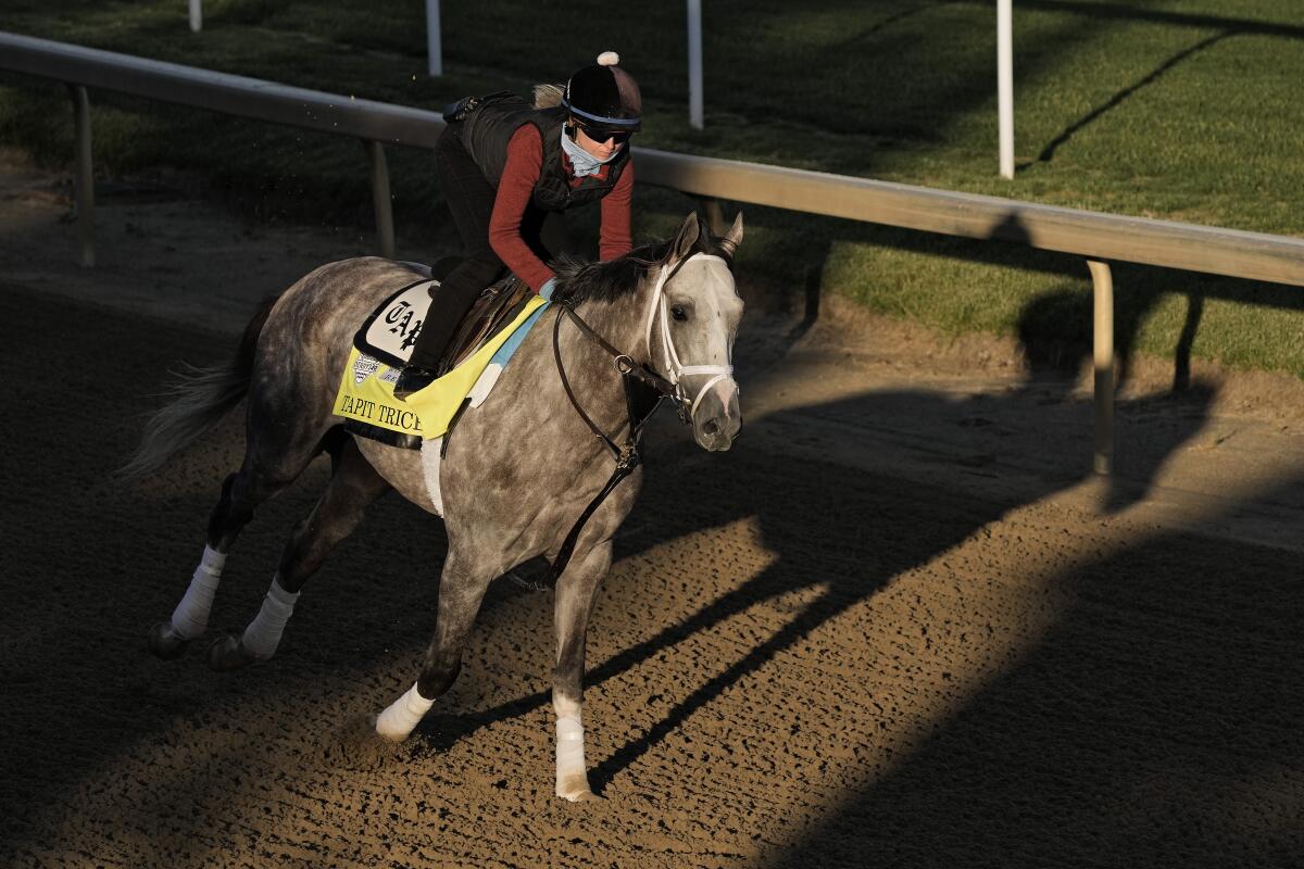 A jockey works out Tapit Trice at Churchill Downs on Wednesday