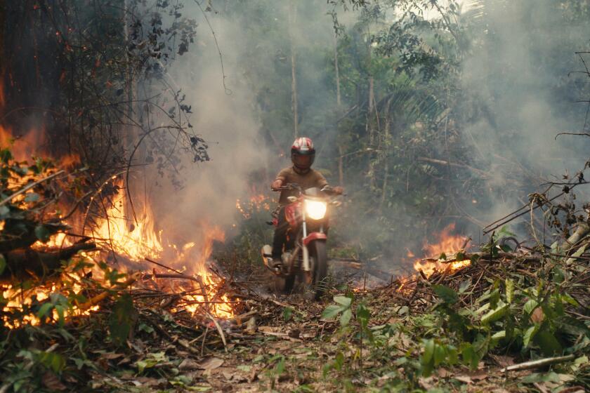 A motorcyclist through a rainforest fire blaze in the documentary "The Territory."