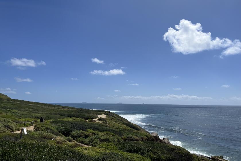 A view of the Coronado Islands off the coast of Mexico, looking south from the Coastal Trail.