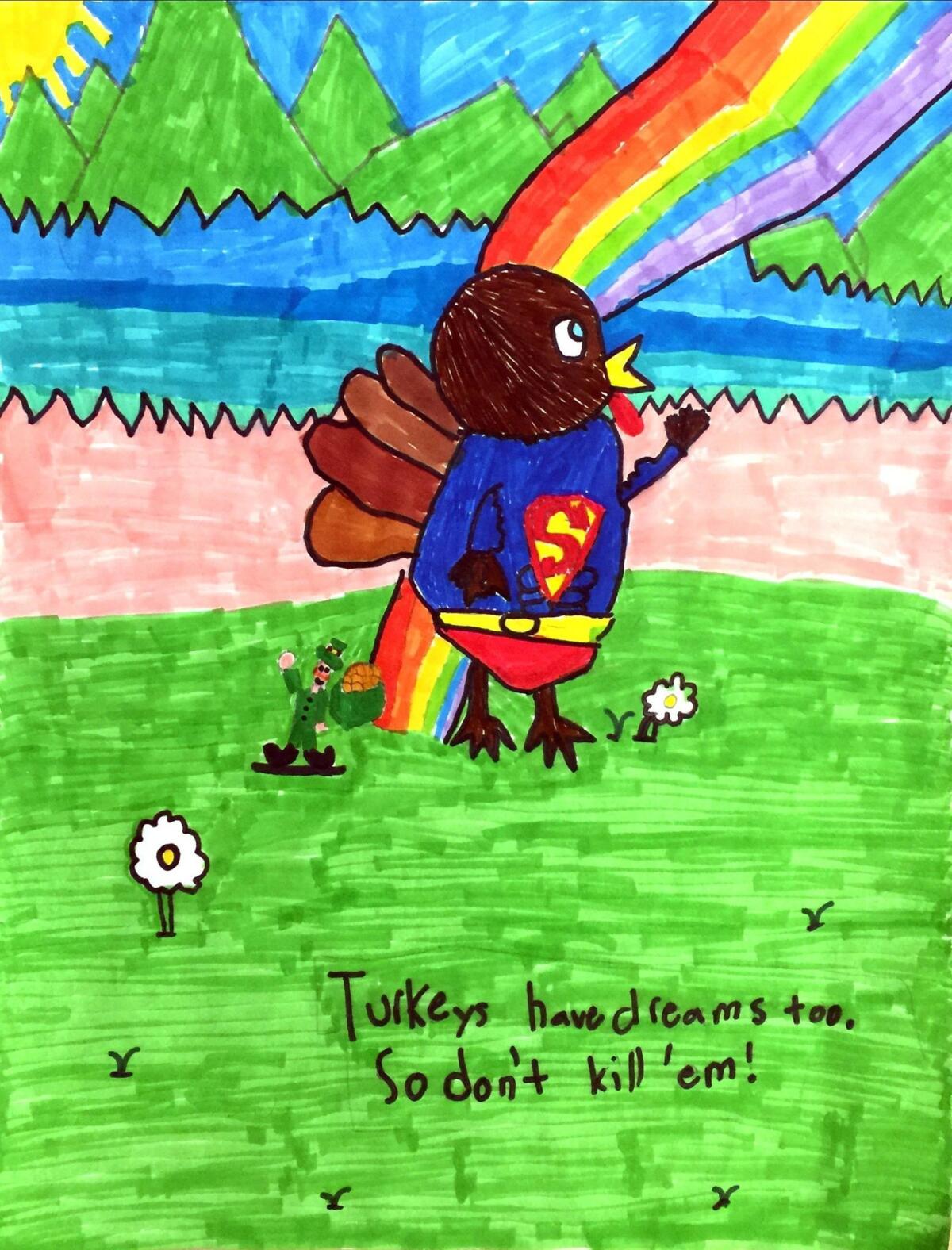 Most humorous, 2nd Place, Andrew Giesler, Mrs. Selsor, Paradise Canyon Elementary, 2015.