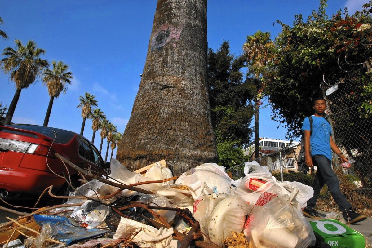 Trash sits on Beacon Avenue in the Pico-Union district. City Administrative Officer Miguel Santana recommended an overhaul of the city's tactics to control illegal dumping.