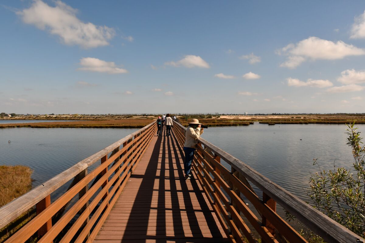 Visitors stand on a boardwalk