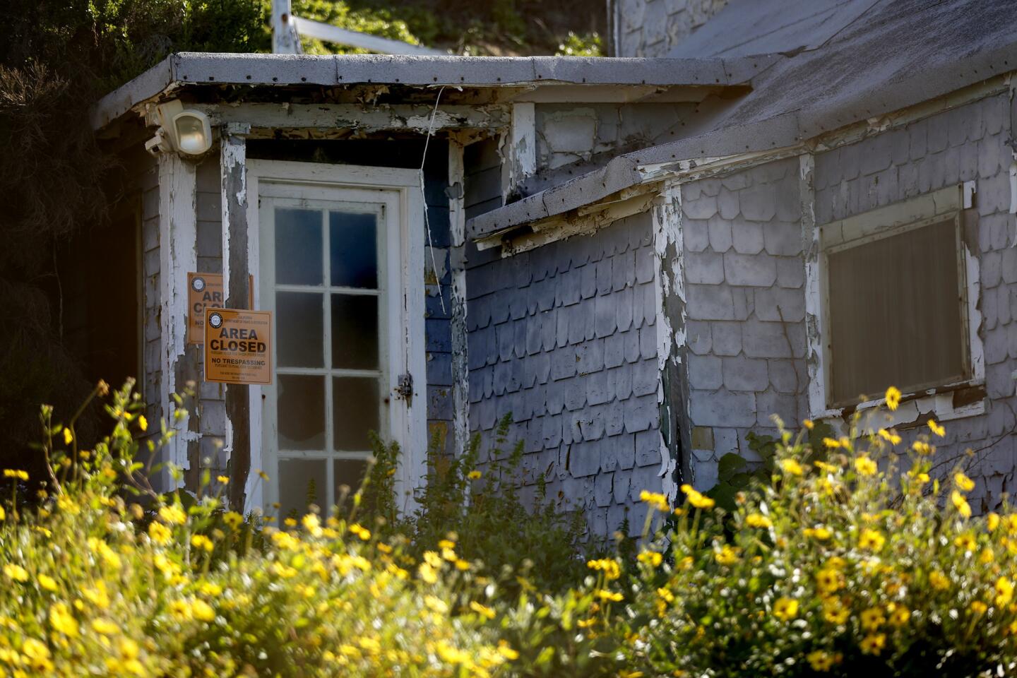 Crystal Cove cottages