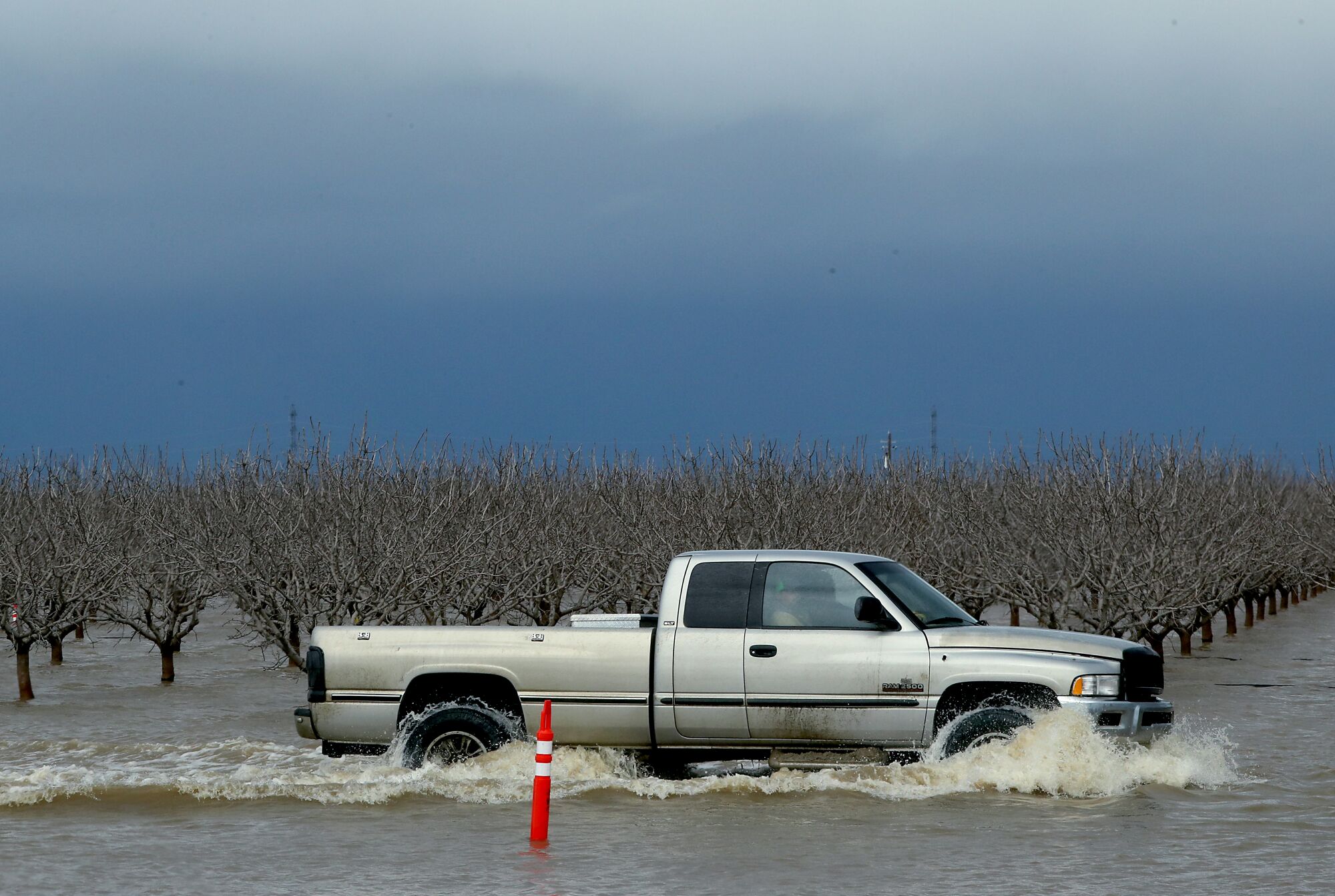 A truck navigates through a flooded pistachio grove near Corcoran.