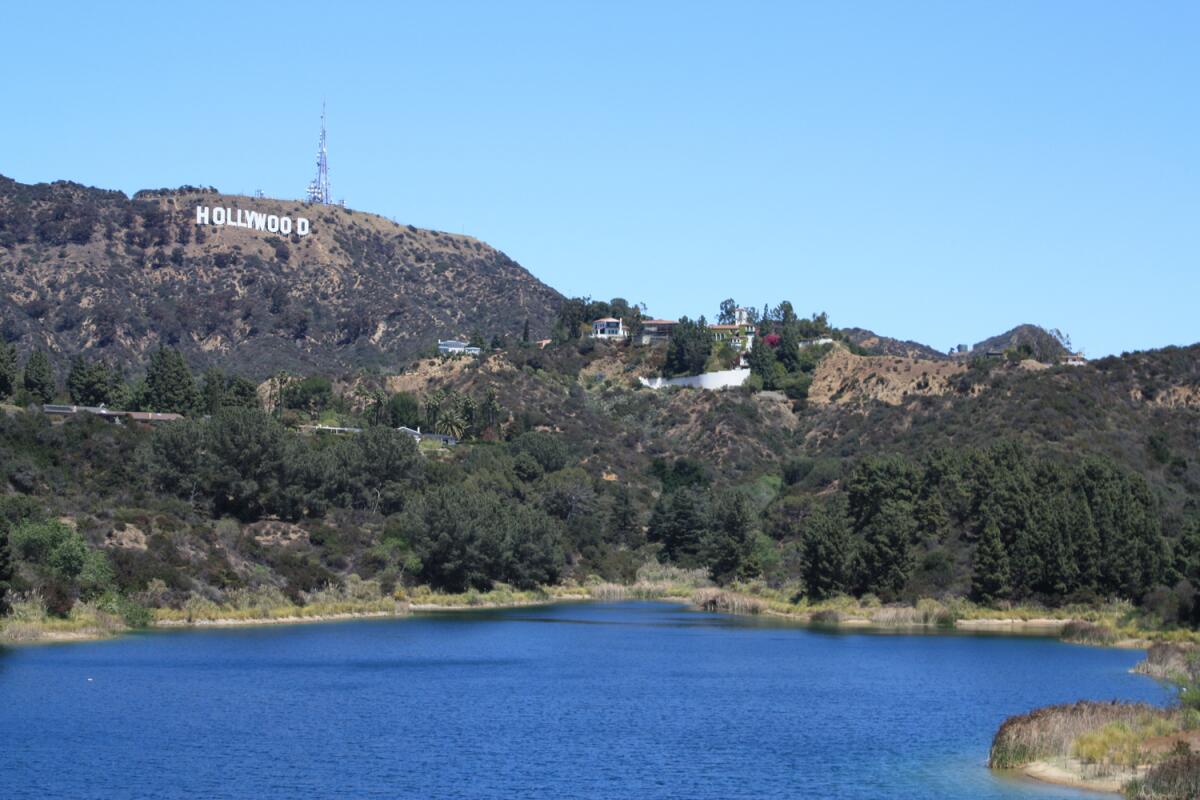 The Hollywood sign above the water of the Hollywood Reservoir.