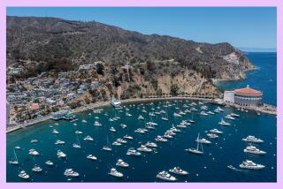 Boats tie up in the bay of Avalon on Catalina Island. 