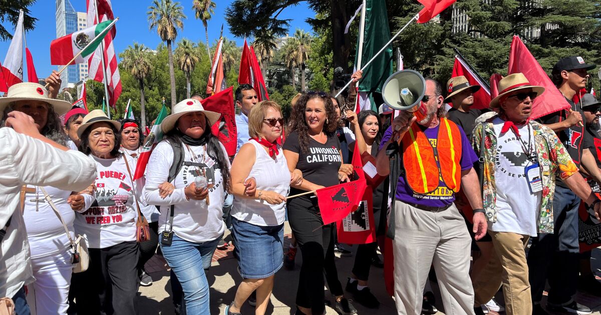 Newsom’s signing of farmworker bill shows clout of Latinos Newsom’s signing of farmworker bill shows clout of Latinos