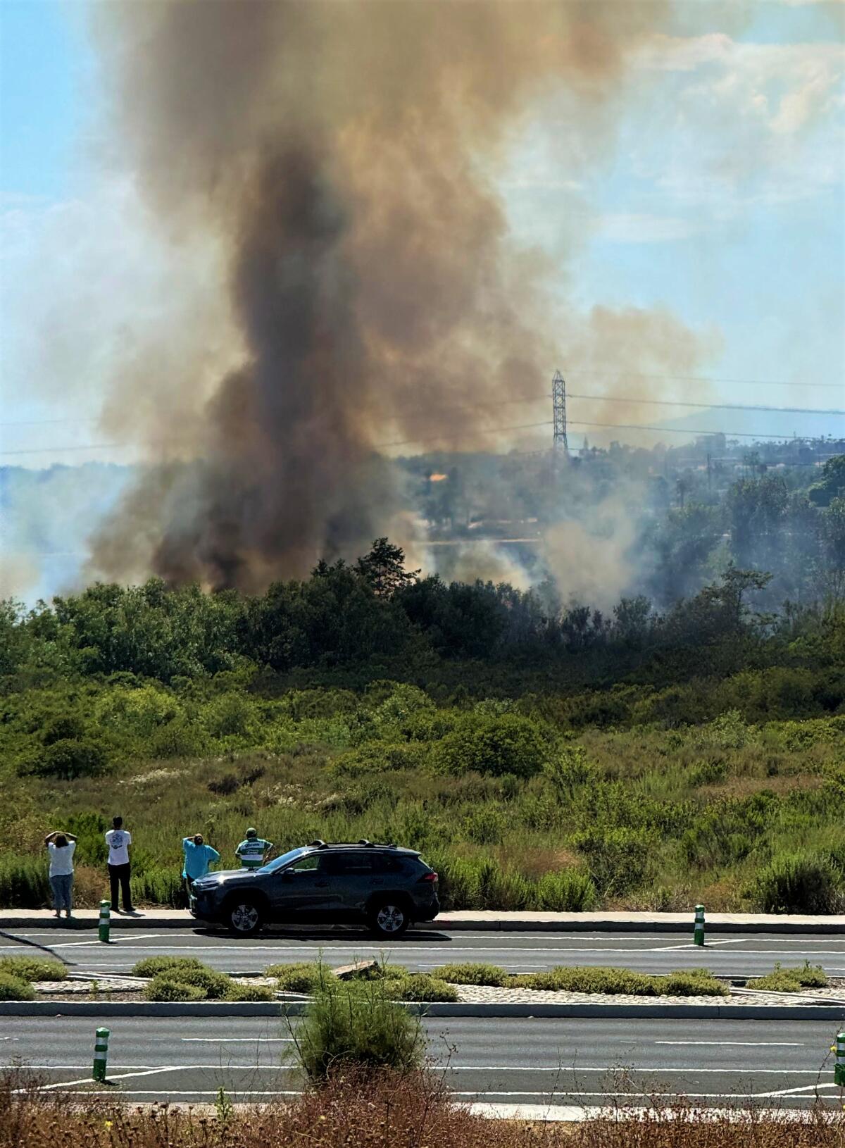 Spectators on Costa Mesa's Placentia Avenue Sunday stop to watch smoke from a fire on the west end of Fairview Park.