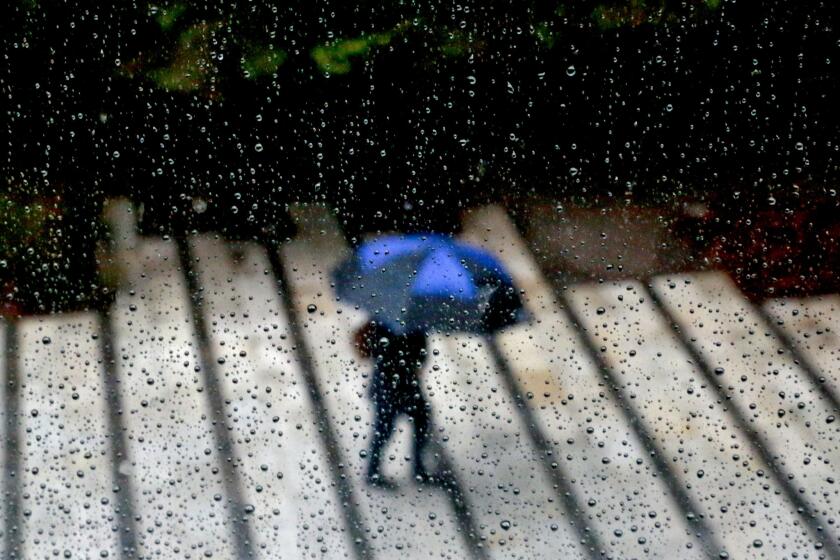 A pedestrian with an umbrella walks in Sacramento during a rainstorm in April. El Niño conditions are strengthening in the Pacific Ocean, forecasters said.