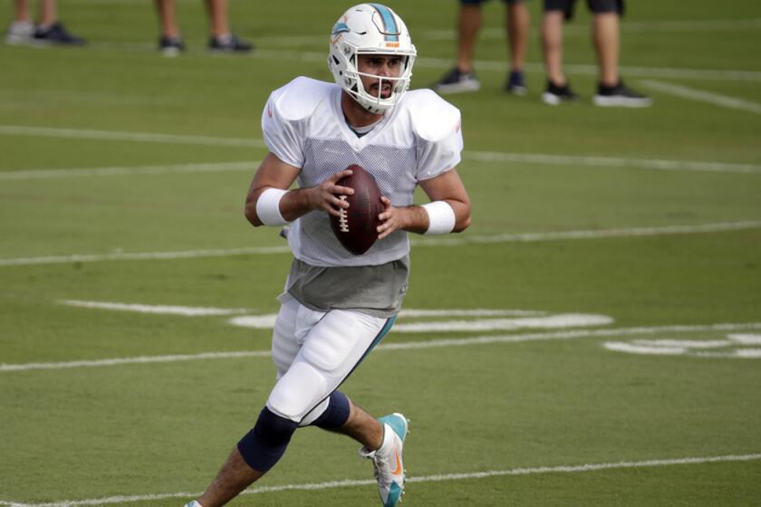 Miami Dolphins quarterback Matt Moore looks to pass during practice Wednesday.
